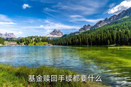 基金贖回需帶什么，基金贖回手續(xù)都要什么