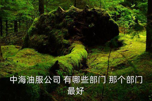 中海油什么部門好，中海油服公司 有哪些部門 那個(gè)部門最好