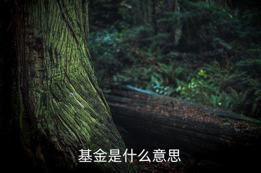 一張圖看懂什么是基金，什么是基金