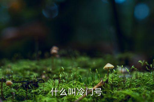 什么叫冷門(mén)股，楊子一老公叫什么名子