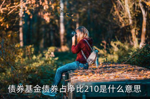 基金中的占凈比什么意思，債券基金債券占凈比210是什么意思