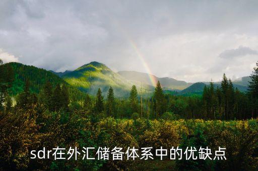 sdr工藝有什么特點(diǎn)，sdr在外匯儲備體系中的優(yōu)缺點(diǎn)