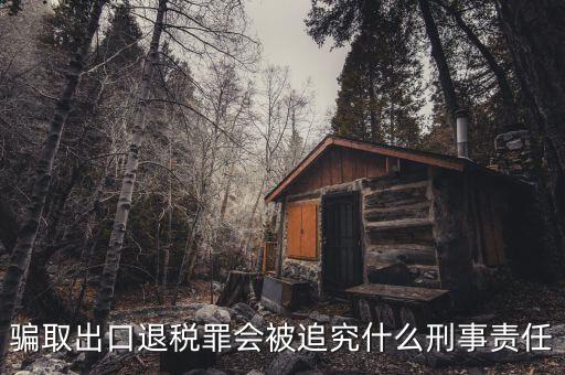 騙取出口退稅罪會被追究什么刑事責任