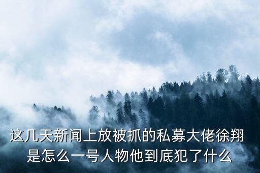 徐翔為什么會抓，澤熙投資徐翔為什么被抓徐翔被抓后私募怎么辦