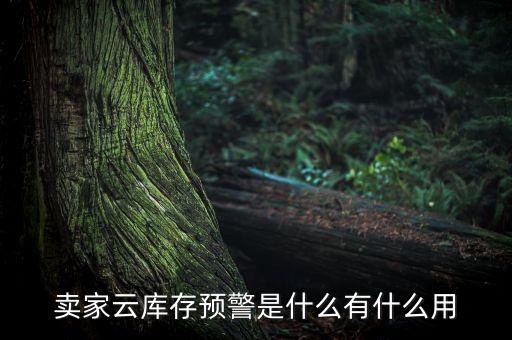 賣家云庫存預警是什么有什么用