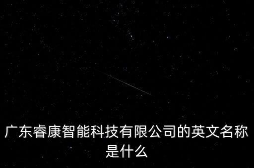 廣東睿康智能科技有限公司的英文名稱是什么