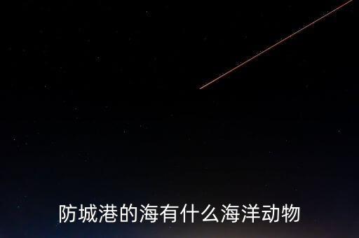 什么是沿邊金融，防城港的海有什么海洋動物