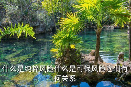 什么是純粹風險什么是可保風險它們有何關系