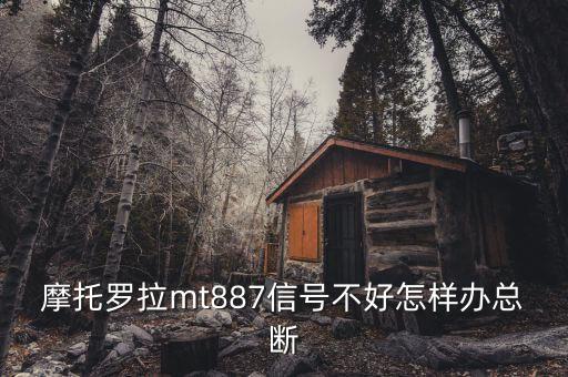 香港為什么要直選，iPhone4 真的會被三星Galaxy S2i9100秒殺嗎如果給你選你會選