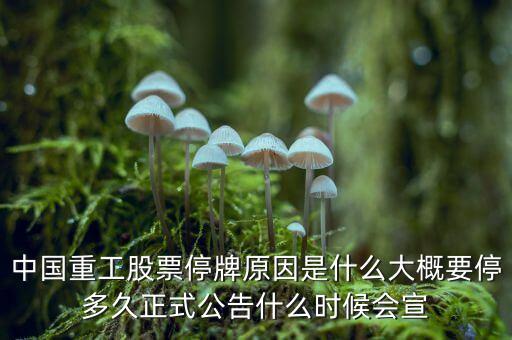 中國(guó)重工股票停牌原因是什么大概要停多久正式公告什么時(shí)候會(huì)宣