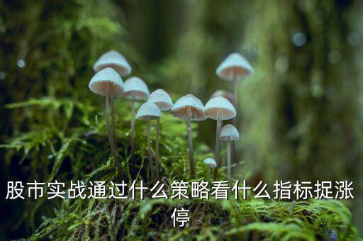 看什么可以抓漲停，股市實(shí)戰(zhàn)通過(guò)什么策略看什么指標(biāo)捉漲停