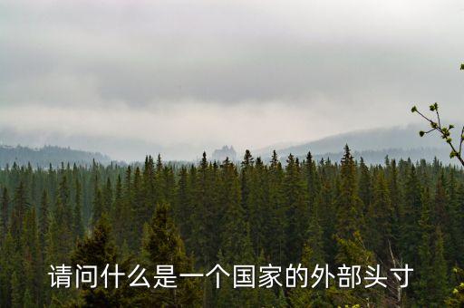請問什么是一個國家的外部頭寸
