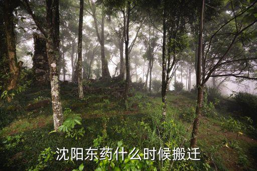 有沈陽(yáng)東北制藥搬遷是什么時(shí)候嗎，沈陽(yáng)東藥什么時(shí)候搬遷