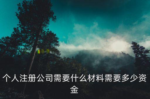 注冊(cè)個(gè)像三全這樣的公司需要什么，注冊(cè)新公司需要帶什么資料去工商局那里呀