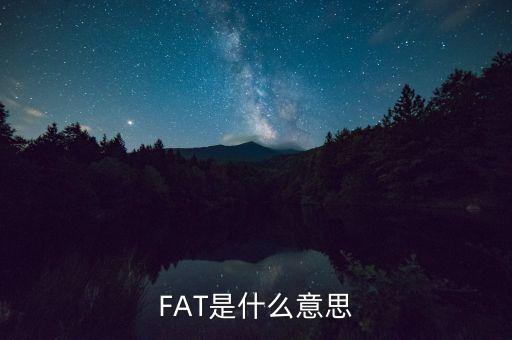 fatca指什么，F(xiàn)AT是什么意思