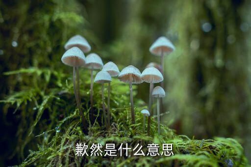 obpi是什么，歉然是什么意思