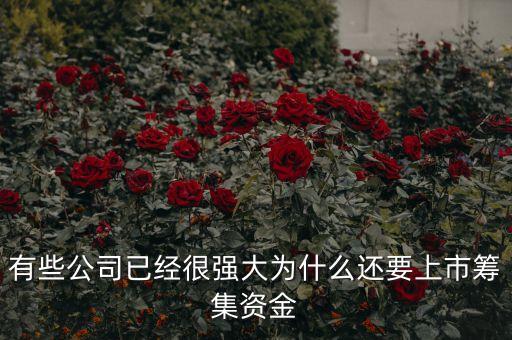 有些公司已經(jīng)很強(qiáng)大為什么還要上市籌集資金