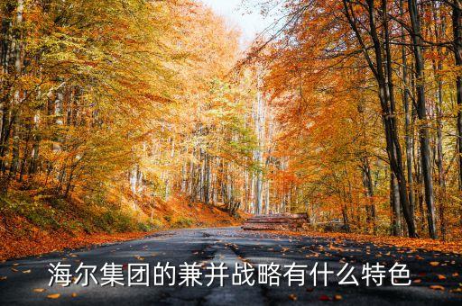 企業(yè)兼并的雙方有什么特征，企業(yè)兼并投資特點是