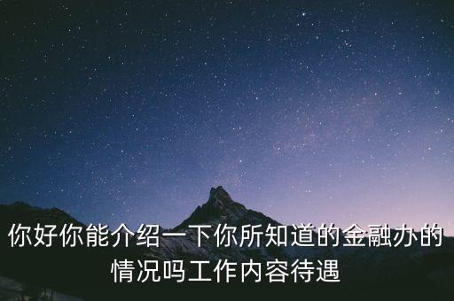 你好你能介紹一下你所知道的金融辦的情況嗎工作內(nèi)容待遇