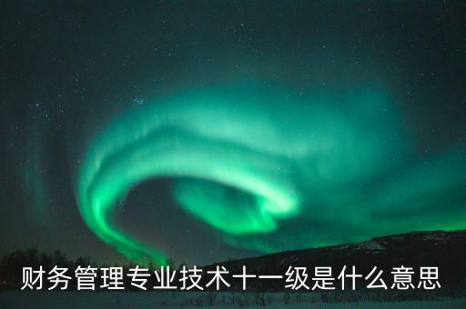 財務管理專業(yè)技術十一級是什么意思