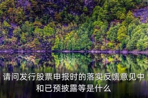 證監(jiān)會已反饋是什么意思，請問發(fā)行股票申報時的落實(shí)反饋意見中和已預(yù)披露等是什么