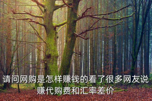 請問網(wǎng)購是怎樣賺錢的看了很多網(wǎng)友說賺代購費(fèi)和匯率差價(jià)