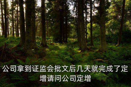 002194定向增發(fā)股票什么時候實施，股票定向增發(fā)預案到實施一般需要多少天