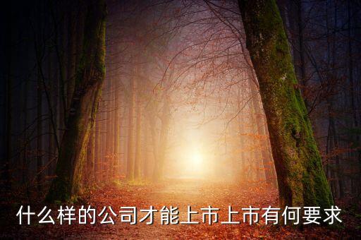 什么樣的公司可以上市，什么樣的公司才能上市上市有何要求