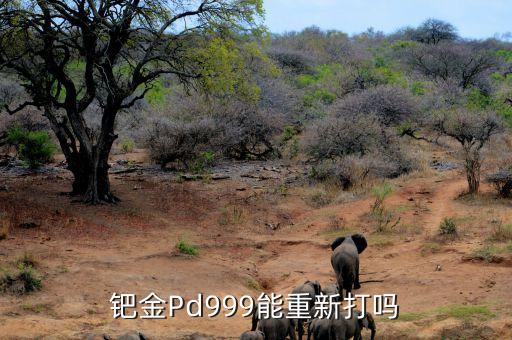鈀金為什么重新打，鈀金Pd999能重新打嗎