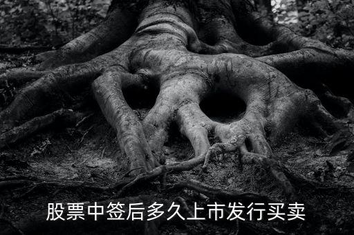 300512什么時候上市交易，股票中簽后多久上市發(fā)行買賣