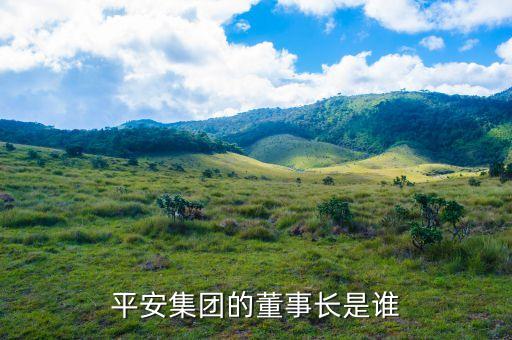 平安集團的董事長是誰