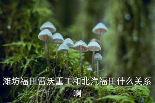 濰坊福田雷沃重工和北汽福田什么關系啊