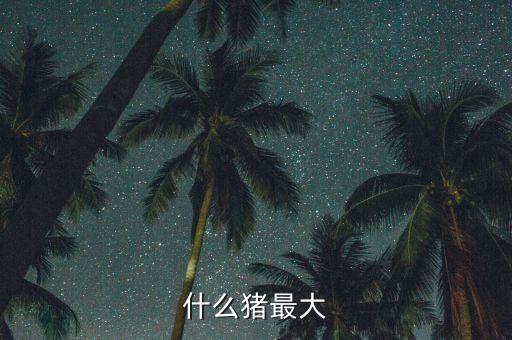 什么豬最大能長40金，什么豬最大