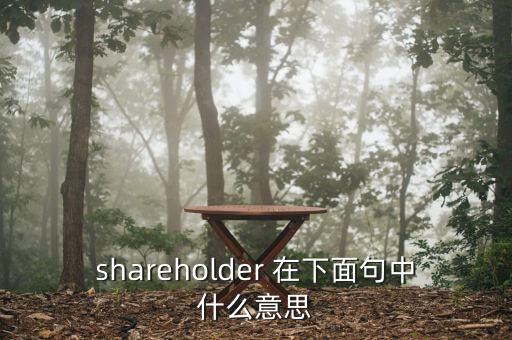 shareholder 在下面句中什么意思