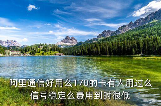 阿里通信好用么170的卡有人用過么信號穩(wěn)定么費用到時很低
