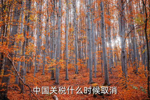 中國什么時候取消關(guān)稅，中國應(yīng)該在哪年取消關(guān)稅