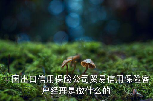 中信?？蛻艚?jīng)理干什么，中國(guó)出口信用保險(xiǎn)公司貿(mào)易信用保險(xiǎn)客戶經(jīng)理是做什么的