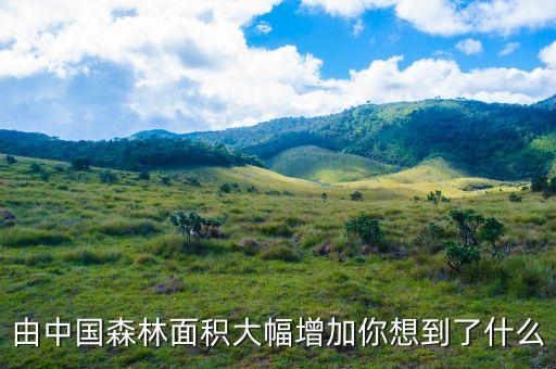 大規(guī)模國(guó)土綠化給林業(yè)帶來什么，由中國(guó)森林面積大幅增加你想到了什么