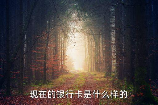 首都銀行卡長什么樣，銀行卡賬號長什么樣