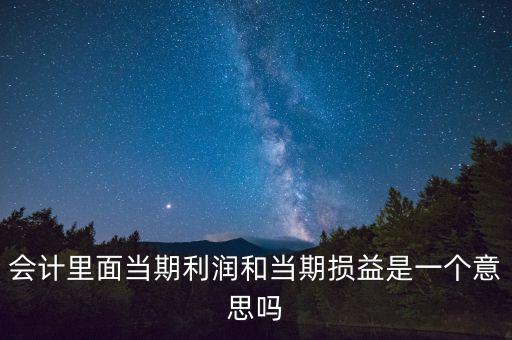 當期利潤是指什么意思，當期利潤當期應付利息等等中的當期是什么含義