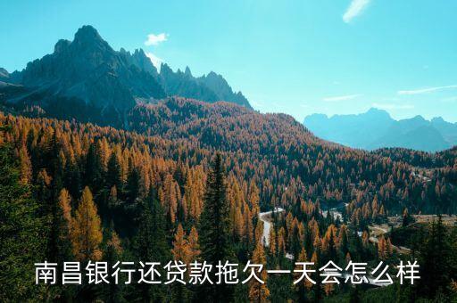 南昌銀行還貸款拖欠一天會怎么樣