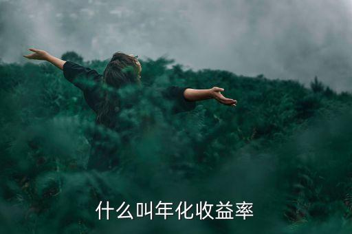 8的年收益是什么意思，投入100年化借款利率8什么意思