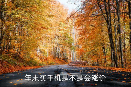 年末6s為什么會漲價，怎么年底了手機都漲價了