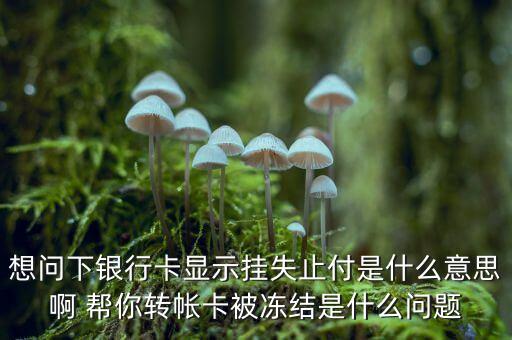 想問(wèn)下銀行卡顯示掛失止付是什么意思啊 幫你轉(zhuǎn)帳卡被凍結(jié)是什么問(wèn)題