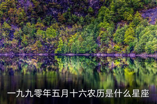 199年五月十六是什么星座，一九九年五月十六出生的是啥星座