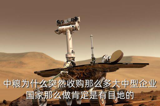 中糧集團(tuán)為什么要收購(gòu)尼德拉，蒙牛為何被中糧收購(gòu)