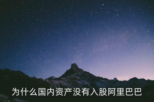 什么國(guó)家沒有阿里，為什么國(guó)內(nèi)資產(chǎn)沒有入股阿里巴巴