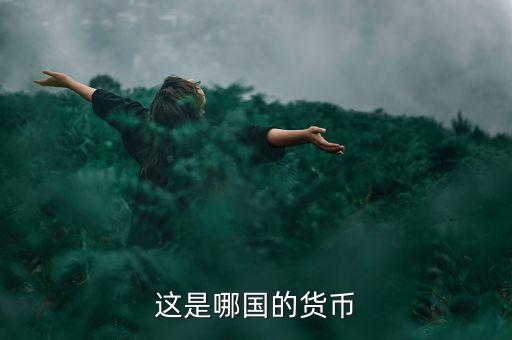 這是哪國的貨幣