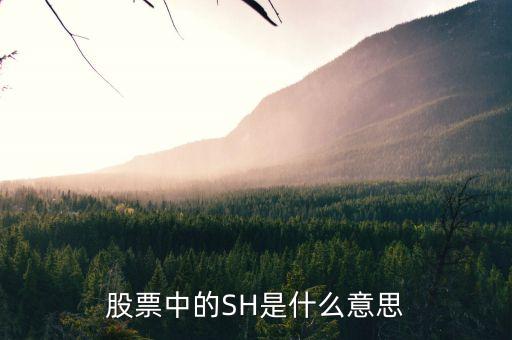 股票中SH6代表什么，股票里的這些都代表什么意思AH NH CDP NL AL