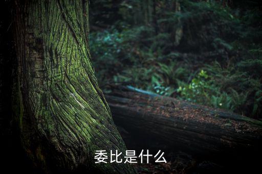 什么是委比指標(biāo)，股票里面的委比是什么意思